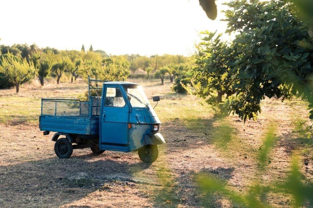 Casa In Campagna ⋅ Forimia Villa San Vito dei Normanni Esterno foto